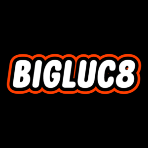 logo bigluc8